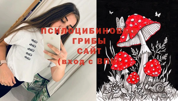 каннабис Абаза